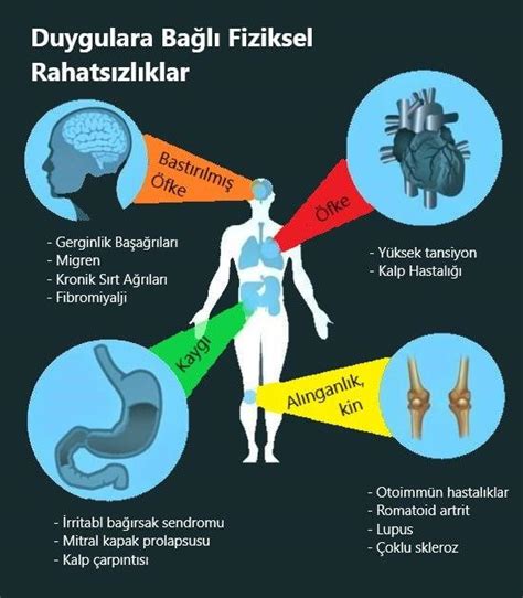 iPhone Dokunmatik Ekran Sorunlar iPhone Dokunmatik Ekran Sorunlar