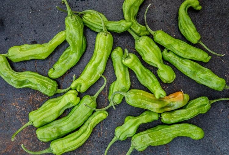 Peperoni Shishito Grigliati con Salsa di Yogurt al Limone per Intingere 3 Peperoni Shishito crudi su una superficie nera