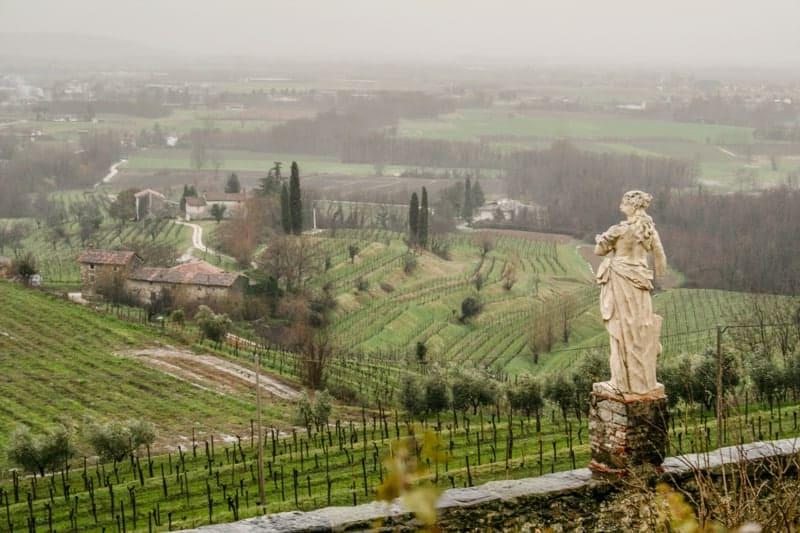 Guida al Sangiovese 4 Vigneto in Italia