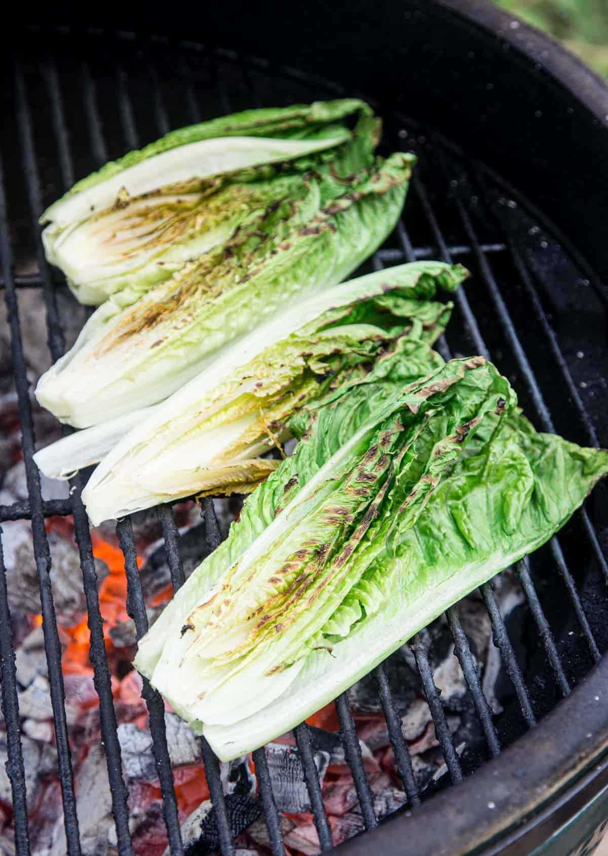 Insalata Caesar di Lattuga Romana Grigliata 4 Lattuga Romana che cuoce sulla griglia