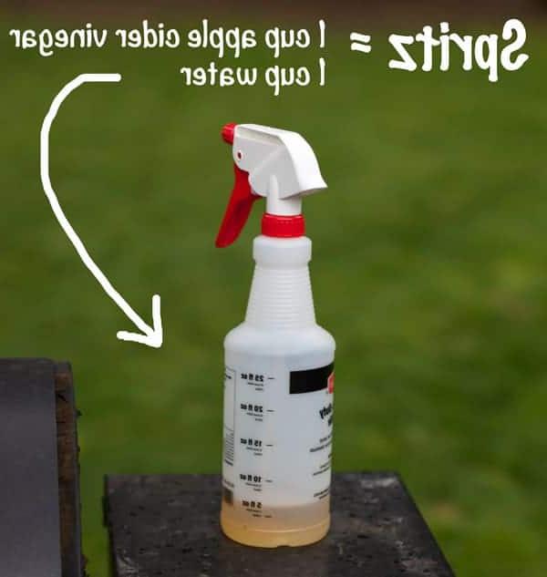 Metodo 3-2-1 delle Costine – Una Guida Completa 4 Come preparare uno spritz (o un mop) per le costine