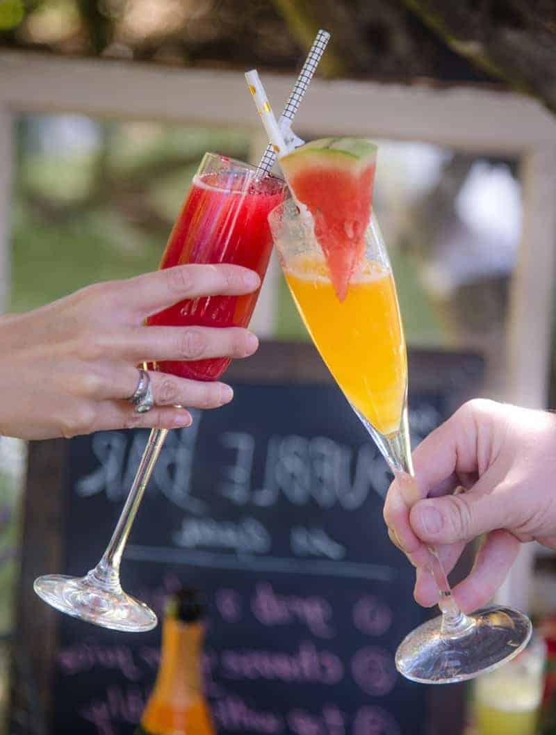 33 Ricette per il 4 Luglio per l'Affumicatore o la Griglia 5 Bicchieri che brindano con mimose