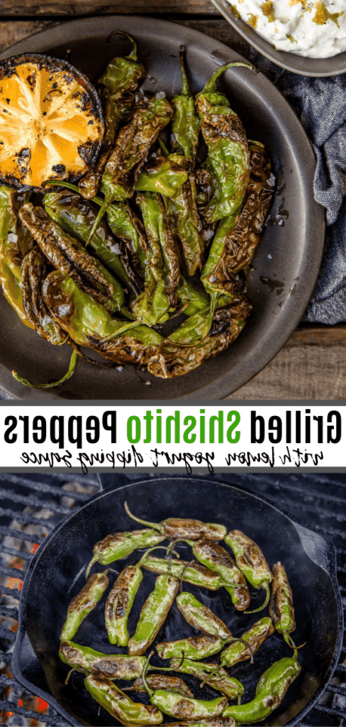 Peperoni Shishito Grigliati con Salsa di Yogurt al Limone per Intingere 7 immagine pinterest di peperoni shishito grigliati
