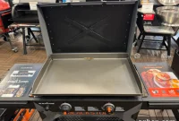 4 Years of Blackstone Ownership: 5 Crucial Tips I Wish I Knew