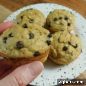 A top-down view of a single Banana Oatmeal Chocolate Chip Muffin, showing its round shape and delicious toppings.