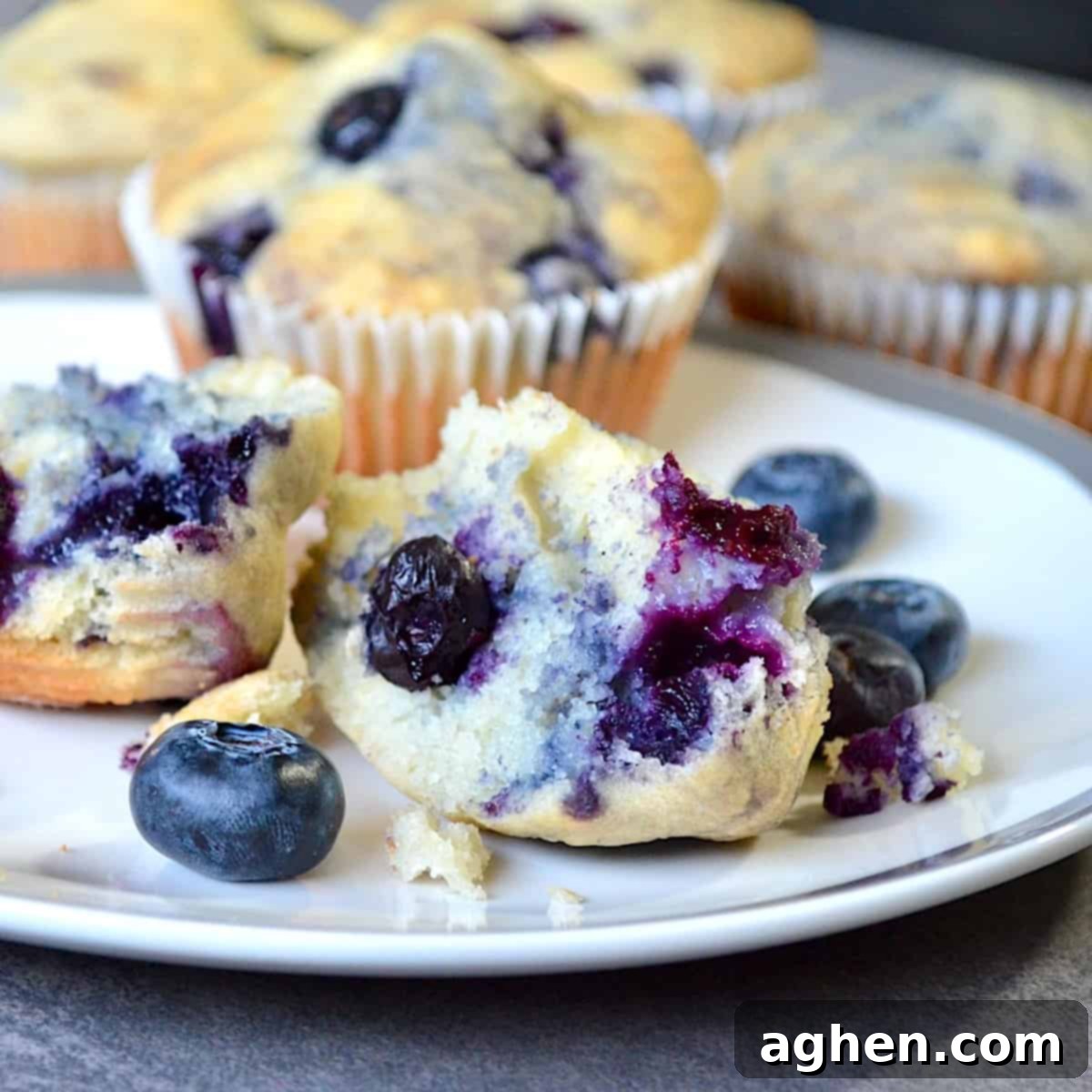 Blueberry muffins on a white plate