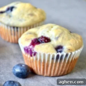 Blueberry muffins with fresh blueberries