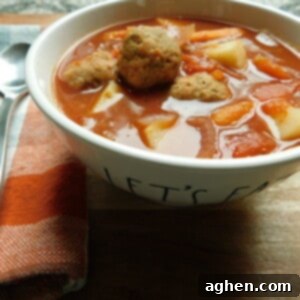 Hearty Italian Chicken Meatball Stew 2 A bowl of slow cooker Italian Chicken Meatball Stew, showcasing the meatballs and vegetables.