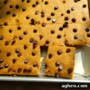 Cozy Pumpkin Chocolate Chip Bars 2 Healthy Chocolate Chip Pumpkin Bars