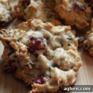 Power-Packed Trail Mix Oat Bites 2 Close-up of a single oatmeal trail mix cookie with visible oats and inclusions