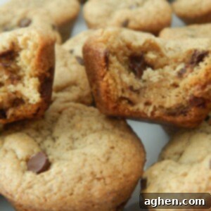 A top-down view of miniature chocolate chip peanut butter cookies, showing their perfect golden edges and soft centers.