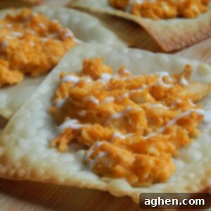 Crispy Buffalo Chicken Wonton Bites 2 Close-up of crispy Buffalo Chicken Wonton Crisps