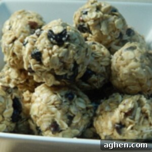 A vibrant close-up of the Trail Mix No-Bake Cookie batter, showing the mixture of oats, nuts, coconut, chocolate, and blueberries before chilling.