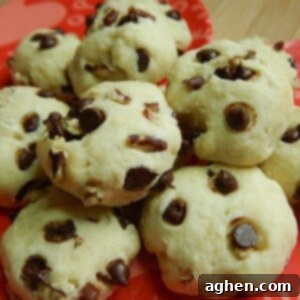 Ultimate Chocolate Chip Pecan Indulgence 2 img 1362 2