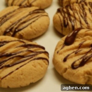 Chocolate-Kissed Peanut Butter Cookies 2 Close-up of a peanut butter chocolate drizzled cookie, showcasing the intricate chocolate pattern and cookie texture.