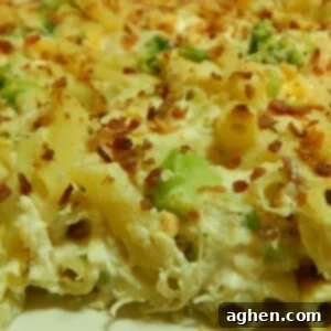 Creamy Chicken and Broccoli Alfredo Pasta Bake 2 Chicken & Broccoli Alfredo Pasta Bake recipe card image