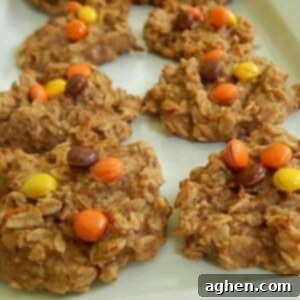 Peanut Butter Banana Oat Delights 2 Banana Oatmeal Peanut Butter Cookies