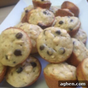 A small bowl filled with delicious mini oatmeal chocolate chip muffins