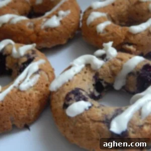 Oat-So-Sweet Blueberry Donuts 2 A top-down view of a baked blueberry oatmeal donut, showing the oat texture and scattered blueberries.