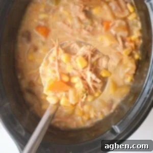 Creamy Chicken Potato Corn Chowder 2 A bowl of creamy chicken potato corn chowder, ready to be served.