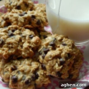 A perfectly baked, golden-brown skinny oatmeal chocolate chip cookie