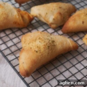 Ultimate Pizza Pockets 2 A single golden-brown supreme pizza pocket, showcasing its delicious filling.