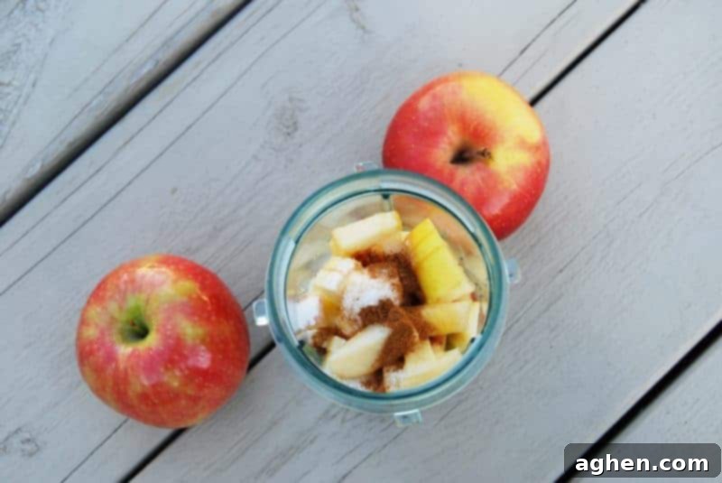 Cinnamon, sugar, and water added to cup of blender. The ingredients are visible atop the chopped apples, ready for blending.