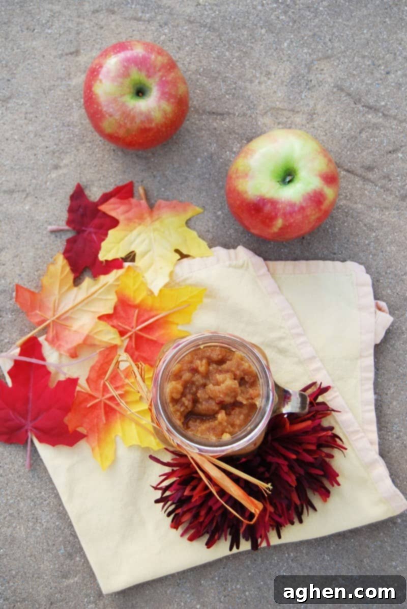 Homemade applesauce in glass cup. A single serving of smooth, light brown applesauce, ready to be enjoyed.