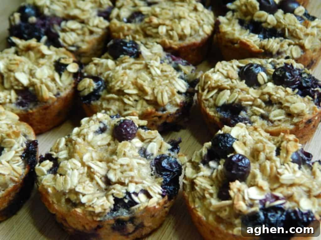 weight watchers blueberry oatmeal muffins