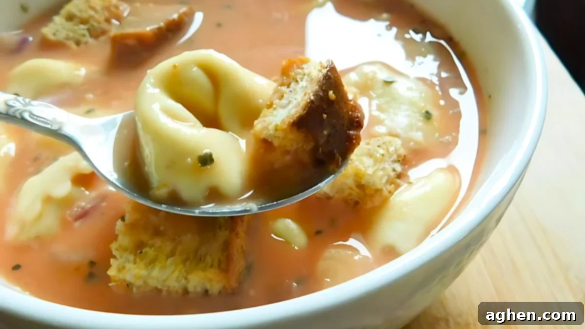 Scrumptious & Smart: 100 Weight Watchers Recipes 15 tomato tortellini soup