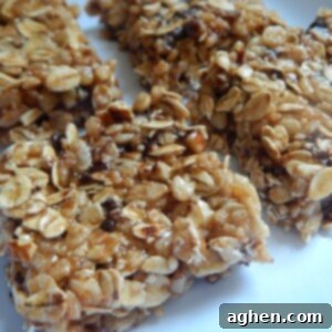 Peanut Butter Chocolate Crispy Granola Squares 2 Peanut Butter Chocolate Rice Krispie Granola Treats