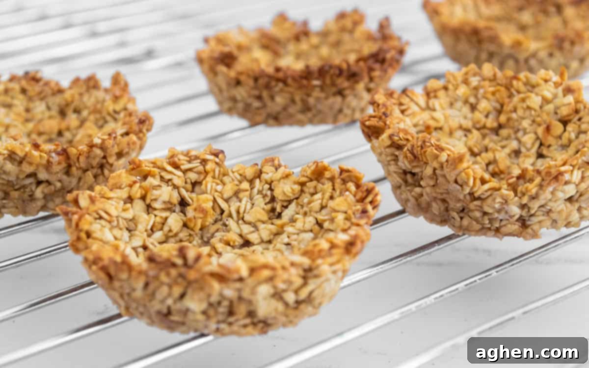 Baked oatmeal cups without any toppings, showing their perfectly formed cup shape