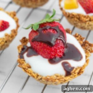 Wholesome Baked Oatmeal Bites 9 oatmeal cup with yogurt strawberry and chocolate