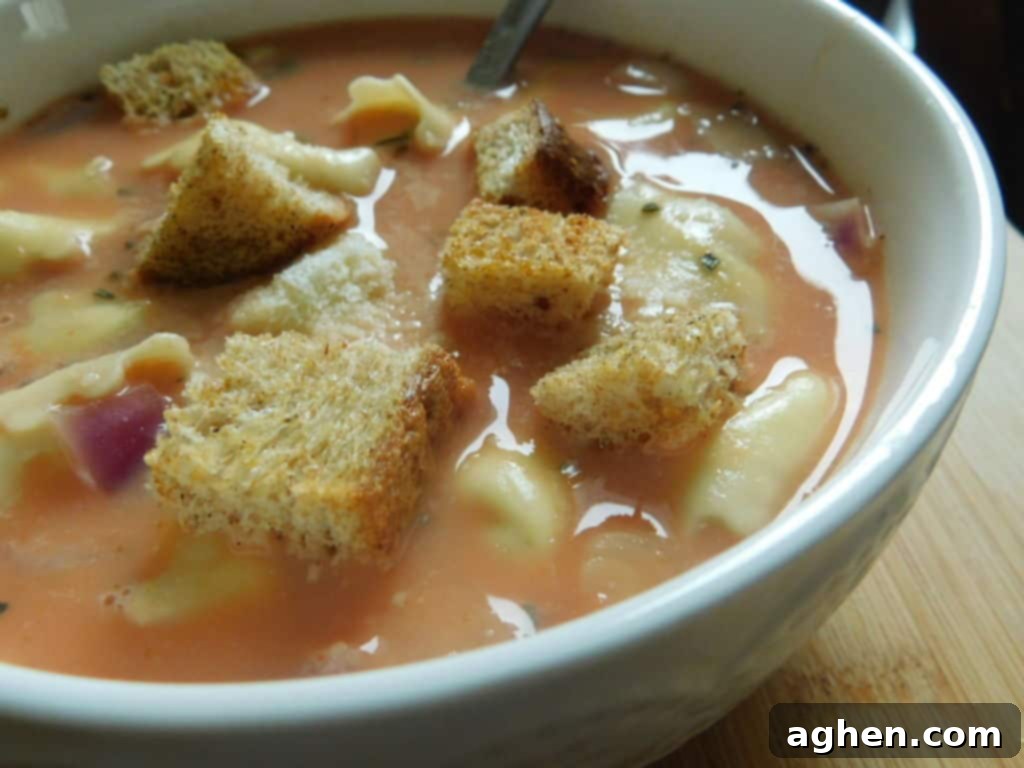 bowl of creamy tomato tortellini soup