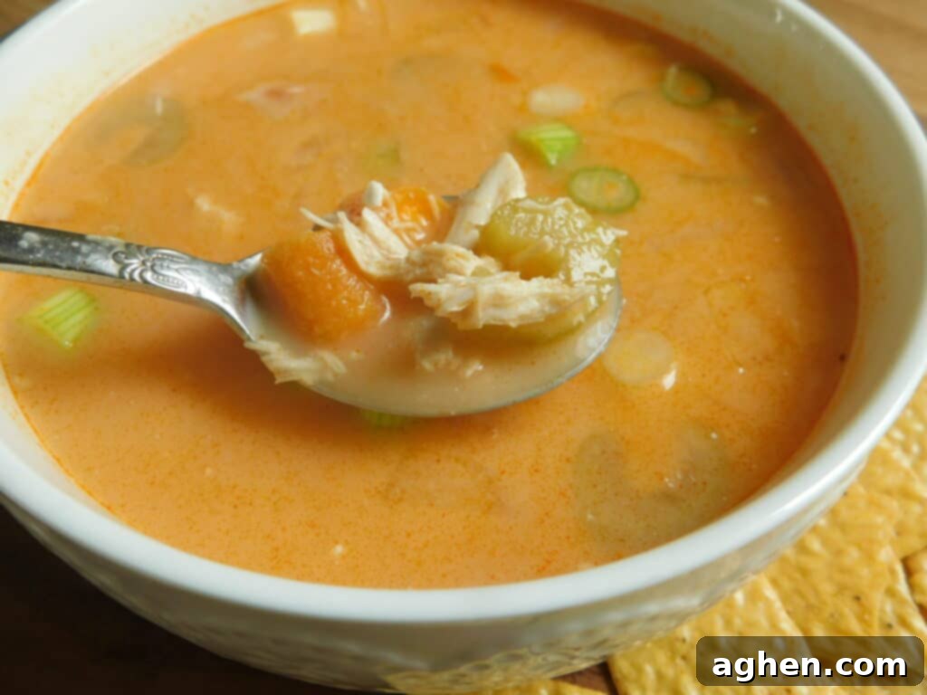 weight watchers buffalo chicken soup