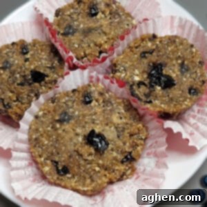 cooked vegan blueberry muffins