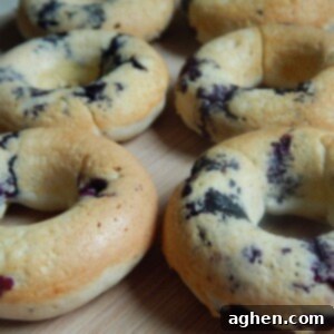 Close-up of a single blueberry cake donut, showcasing its texture and blueberries.
