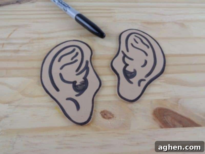 Using a black marker, add expressive details to the craft foam ears, bringing them to life with simple lines and curves.