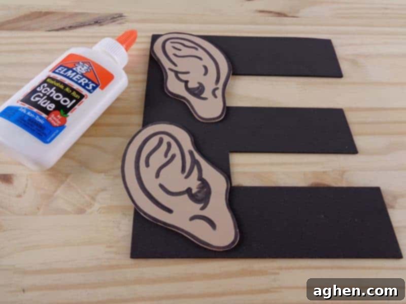 Securely glue the two crafted ears onto the Letter E, completing your 'E is for Ears' craft and bringing the alphabet to life.