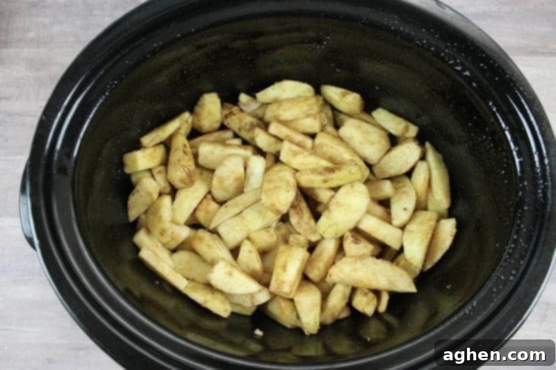 Step 4: Toss the apples thoroughly until they are completely coated with the sugars and spices.