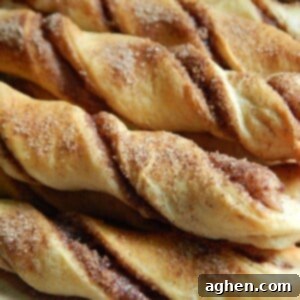 Cinnamon Twists 2 img 2743 8