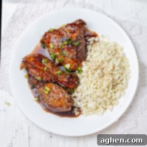 Sweet and sour Shoyu chicken and rice on a plate.