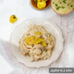 Mississippi Chicken Magic: Your Effortless Slow Cooker Dinner Solution 6 Shredded Mississippi Chicken garnished with yellow pepper.