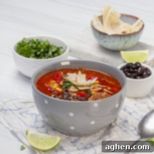 A beautifully presented bowl of chicken tortilla soup, garnished and ready to serve.