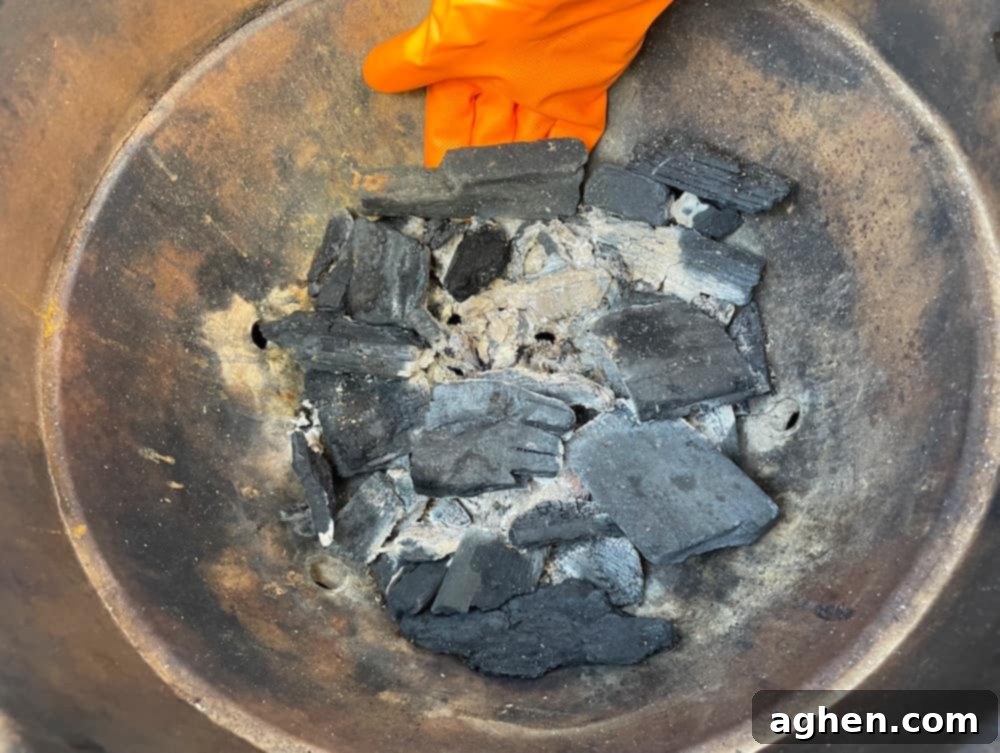 Big Green Egg Cleaning: Achieve Peak Performance Every Time 4 ash shakeout on big green egg