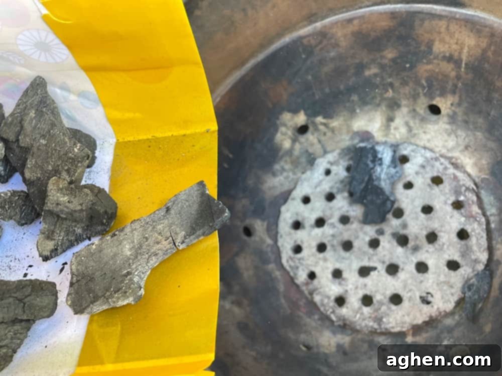 Big Green Egg Cleaning: Achieve Peak Performance Every Time 6 returning charcoal to big green egg