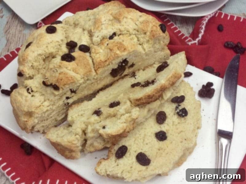 You will love this quick and easy Irish Soda Bread with Raisins recipe made with flour, baking soda, salt, sugar, egg, butter, buttermilk, and raisins for St. Patrick's Day or any time of year!