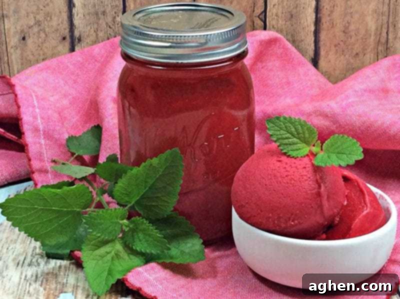 An easy homemade moonshine recipe with Everclear, raspberries, sugar, mint, and vanilla. This sweet and refreshing Raspberry Gelato Moonshine is a great fruit flavored moonshine recipe that can be enjoyed on its own or mixed to make a cocktail.