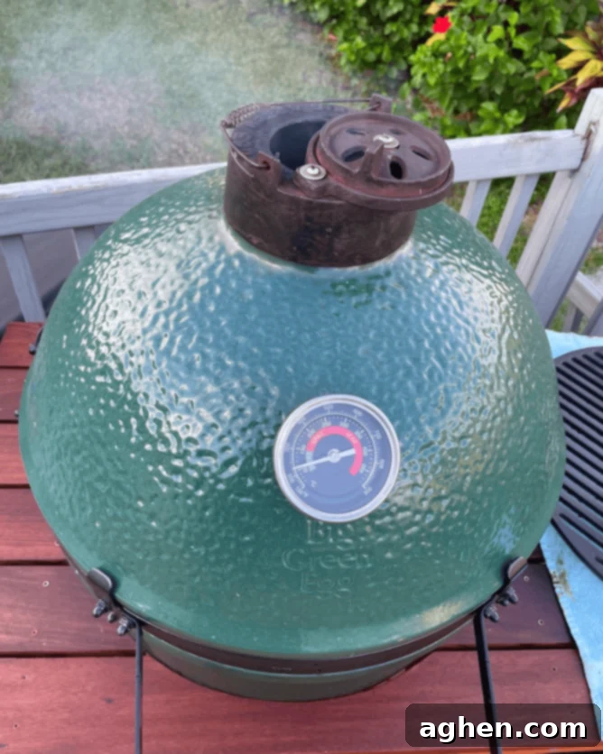 Your Top 5 Big Green Egg Questions, Answered 6 img 29791 5