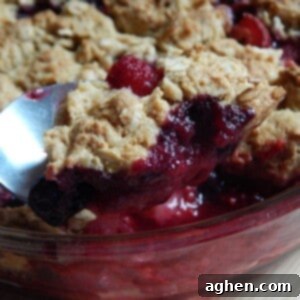 Homestyle Berry Crumble 2 A top-down view of a freshly baked berry crumble in a round dish.